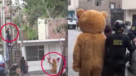 Un politist s-a deghizat intr-un urs-mesager de Ziua Indragostitilor pentru a aresta o traficanta de droguri
