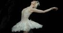 Steaua baletului, <span style='background:#EDF514'>NATALIA</span> Osipova, in premiera in Romania, la Gala de Balet 