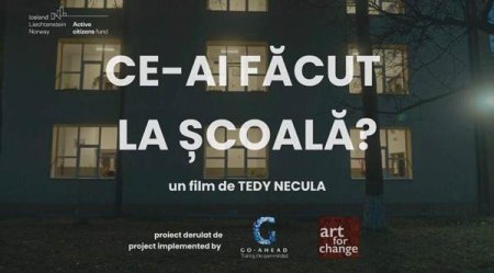 Asociatia GO-AHEAD  anunta lansarea filmului 'Ce ai facut la scoala?'