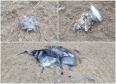 Noi fragmente de drona au cazut pe teritoriul Republicii Moldova, la frontiera cu Ucraina. Rusii au folosit o varianta modificata a aparatelor Shahed | FOTO
