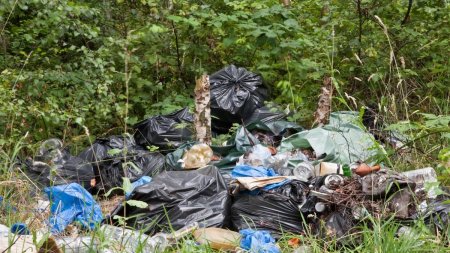 Lectie usturatoare pentru un sofer care a aruncat gunoiul pe drum, in comuna Vernesti
