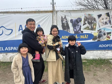 Un catel din adapostul ASPA <span style='background:#EDF514'>BRAGADIRU</span>, adoptat de o familie de japonezi. Primarul Capitalei: Peste 1.300 de catei au fost adoptati anul trecut