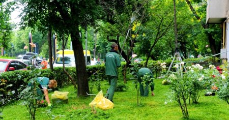 Afacerea de 5,4 milioane de euro pentru spatii verzi intr-un oras din Ardeal. Sapte firme si-au disputat contractul