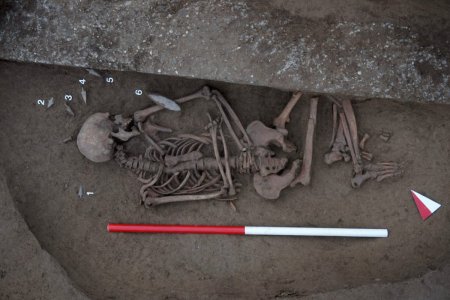 Necropola veche de 5.000 de ani, descoperita in nordul Italiei