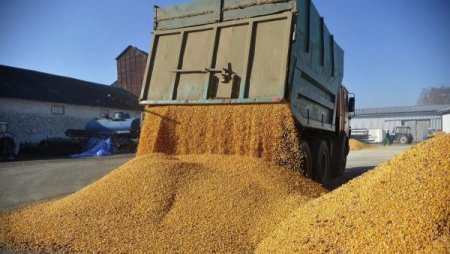 Florin Barbu cere la Finante sigilii electronice pentru TIR-urile cu cereale din Ucraina