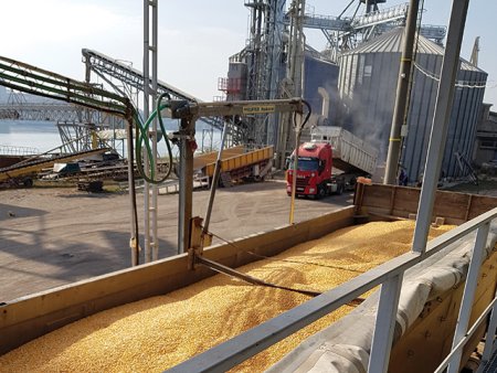 Traderul de cereale East Grain din Cluj-Napoca, controlat de grupul ceh <span style='background:#EDF514'>AGRO</span>fert, a raportat pentru 2023 afaceri de peste 700 mil. lei