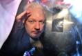 Fondatorul <span style='background:#EDF514'>WIKIL</span>eaks, Julian Assange, afla daca va putea fi extradat
