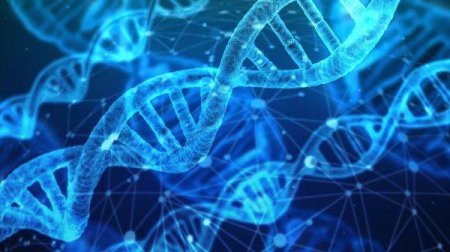 Genetic Testing, Fundamental in the Field of Rare Diseases