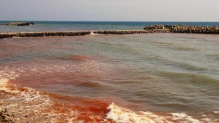 Fenomen rar pe litoralul romanesc: Marea Neagra a devenit rosie. Noaptea, valurile sunt fosforescente. Ce spun biologii – VIDEO