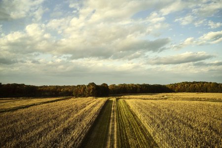 Producatorul de seminte agricole Corteva Agriscience a incheiat 2023 cu afaceri in crestere cu 23% pe pietele din Romania si Republica Moldova. Vanzarile de produse pentru protectia plantelor s-au majorat cu aproape 35% an/an