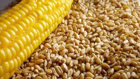 MADR: Romania nu a importat cereale din Ucraina, in 2024