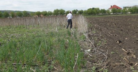 Decizia guvernului cu privire la terenuri: derogarea la 4% parloaga pe terenurile agricole