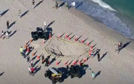 O <span style='background:#EDF514'>FETITA CARE</span> sapa o groapa pe plaja a murit dupa ce a fost inghitita de nisip