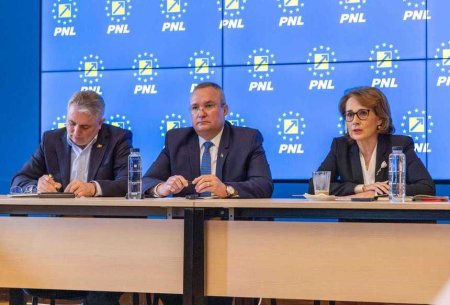 Liberalii au votat comasarea alegerilor si listele comune cu PSD la europarlamentare 