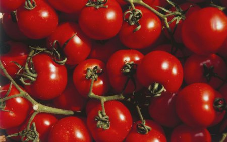 Veste buna pentru fermierii romani care au accesat Programul Tomata. Oamenii vor primi mai repede o parte din bani