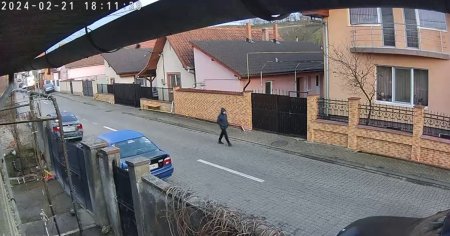 Femeie muscata de un <span style='background:#EDF514'>CAINE</span> pe o strada din Alba Iulia. Momentul a fost filmat de o camera de supraveghere VIDEO