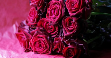 Legende, simboluri si <span style='background:#EDF514'>SEMNIFICATII</span> ale trandafirului, floarea iubirii