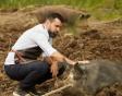 <span style='background:#EDF514'>VLAD MIRITA</span> vinde porci Mangalita cu 1.000 euro bucata! Ferma tenorului desface carne si preparate din animale si pasari crescute libere, prin pasunare
