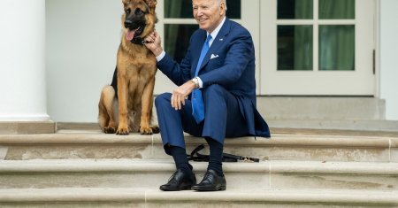 Aventurile cainelui lui Joe Biden la Casa Alba. Commander a muscat zeci de agenti ai Serviciului Secret