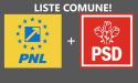 Cati europarlamentari vrea alianta PSD-PNL la alegerile din 9 iunie 2024