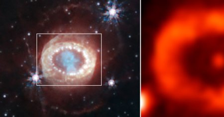 Dupa decenii de cercetari, s-a descoperit steaua neutronica nascuta dintr-o supernova vizibila de pe <span style='background:#EDF514'>TERRA</span> in 1987 FOTO