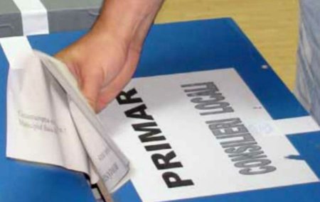 In Timis, 16 primari si viceprimari si-au anuntat candidatura sub culorile PSD