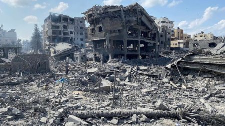 COMENTARIU Lelia Munteanu: Gaza. The Day After