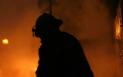Incendiu puternic intr-un apartament din Suceava. Mai multe animale au fost gasite moarte