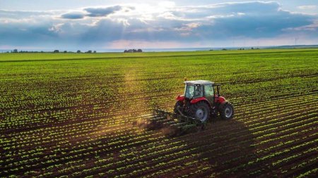 Circa 3% din companiile agricole din Romania sunt detinute de straini