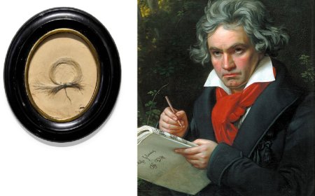Secretul din parul lui Beethoven. O descoperire uimitoare dupa 200 de ani