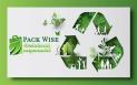 (P) PackWise.ro: Destinatia ta pentru solutii de ambalare eco-friendly