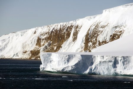 <span style='background:#EDF514'>GRIPA AVIARA</span> a ajuns in Antarctica
