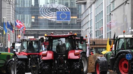 Eurodeputatii adopta Pactul Verde, o legislatie-cheie care vizeaza sa opreasca declinul biodiversitatii, care le impune statelor membre UE sa repare ecosistemele deteriorate, in pofida opozitiei dreptei si unor agricultori