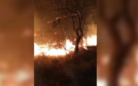 Un barbat de 78 de ani a murit dupa ce a dat foc vegetatiei uscate din apropierea locuintei sale din Dolj