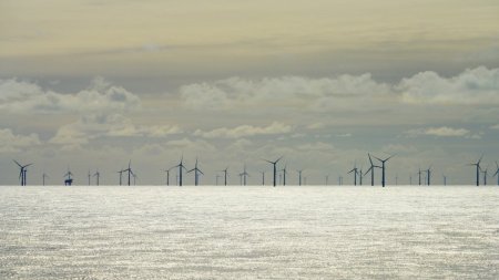 Senatul a adoptat Legea privind energia eoliana offshore in Marea Neagra. Anuntul ministrului Energiei