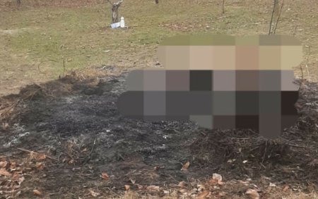 Un barbat, mort dupa ce a cazut in gramada de resturi vegetale pe care le incendia in curtea casei, in Vrancea