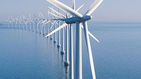 <span style='background:#EDF514'>SENATUL ROMANIEI</span> a adoptat Legea privind energia eoliana offshore