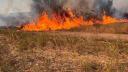 Incendiu de vegetatie uscata in Vrancea. Un barbat a fost gasit carbonizat