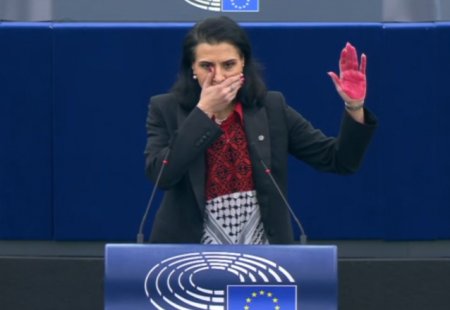 Protestul europarlamentarului suedez fata de situatia din Gaza: drepturile omului au culoarea pielii