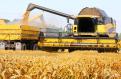 Bursa. Operatorul de terenuri agricole <span style='background:#EDF514'>HOLDE</span> Agri Invest a inregistrat anul trecut o pierdere de 28,5 mil. lei, de la un rezultat net negativ de 2 mil. lei in 2022. Productia de cereale, plus 31%