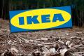 Ikea, aspru criticata in presa internationala: 