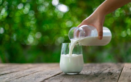 Elementul din lapte care impiedica imbolnavirea. Este cunoscut de toti specialistii din domeniul farmaceutic