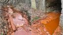 Alerta in judetul Bihor! Poluarea cauzata de prabusirea unei galerii miniere se intinde pe 17 kilometri din Valea Borod
