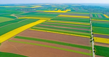 Comisia Europeana a aprobat ajutorul de stat 164 de milioane euro pentru productia agricola primara