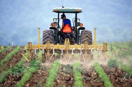 Ministrul Agriculturii anunta ca APIA a deblocat platile / S-a autorizat plata a 1,5 miliarde de lei