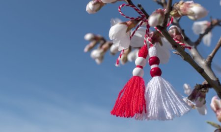 <span style='background:#EDF514'>MARTISOR</span>ul si Ziua Femeii genereaza un record istoric de vanzari pe piata florilor, peste 40 de milioane de euro