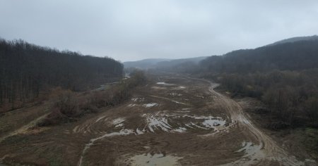 Incepere construirea tunelurilor pentru ursi la o autostrada din Romania. 