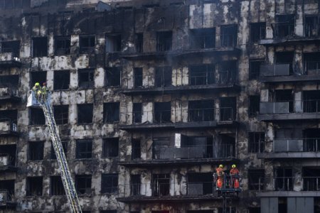 Soarta norocoasa: O pisica a fost salvata de pompieri la opt zile dupa incendiul unui bloc din Valencia