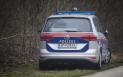 O fata de 12 ani din Austria acuza 17 adolescenti ca au agresat-o sexual timp de mai multe luni, in Viena. Tanara mai spune ca a fost filmata si santajata
