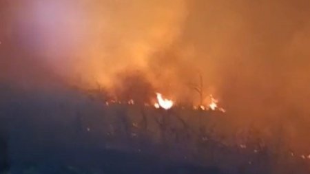 Incendiu violent in <span style='background:#EDF514'>MURES</span>. Ard 20 de hectare de vegetatie uscata
